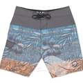 Dakine Lanai<br />Board Shorts<br/>(Multiple Colors)
